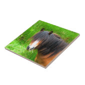 馬 タイル (側面)