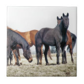 馬 タイル (正面)