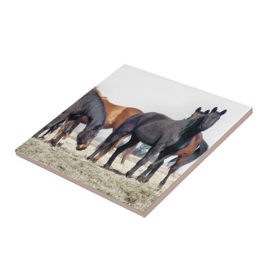 馬 タイル (側面)