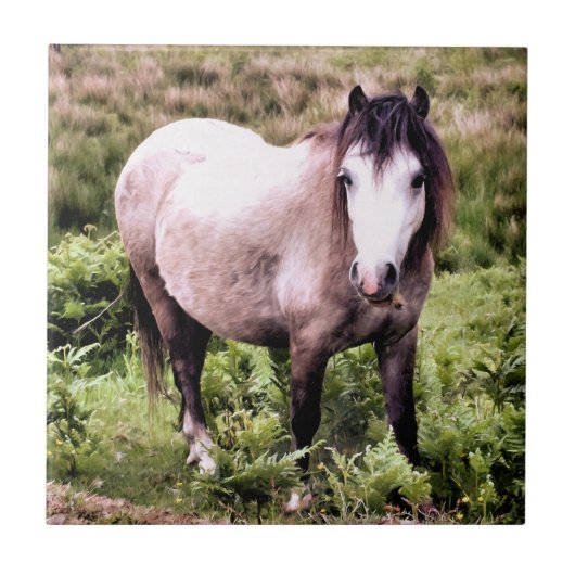 馬 タイル (正面)