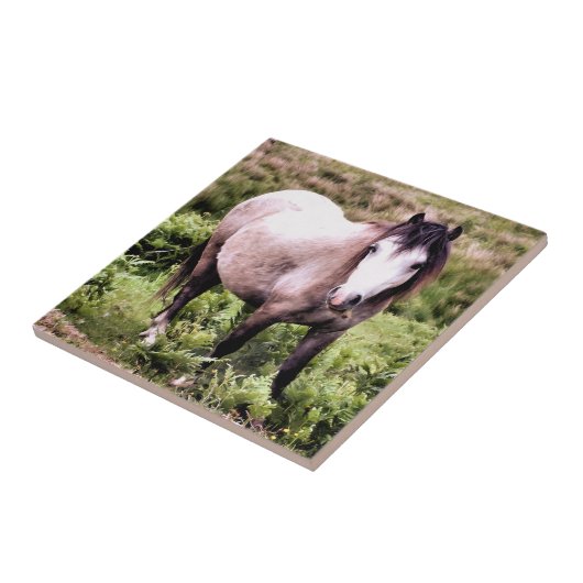 馬 タイル (側面)