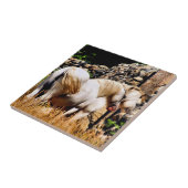 馬 タイル (側面)