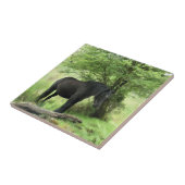 馬 タイル (側面)