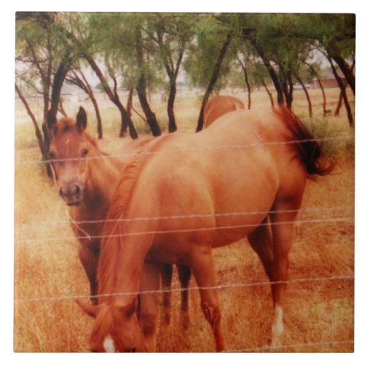 馬 タイル (正面)