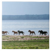 馬 タイル (正面)