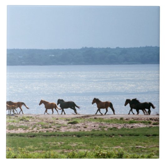 馬 タイル (正面)