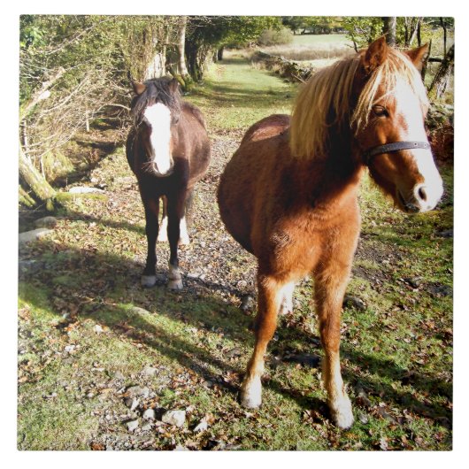 馬 タイル (正面)