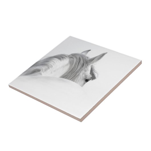 馬 タイル (側面)