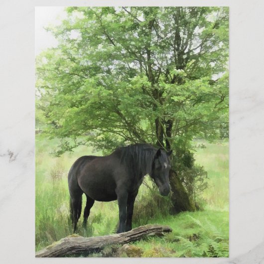 馬 チラシ (正面)