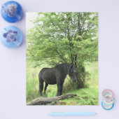 馬 チラシ (シングル)