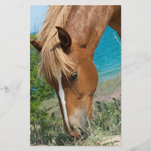 馬 チラシ (正面)