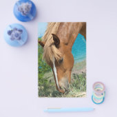 馬 チラシ (シングル)