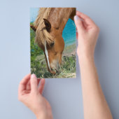 馬 チラシ (ハンドル)