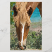 馬 チラシ (正面)