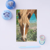 馬 チラシ (シングル)