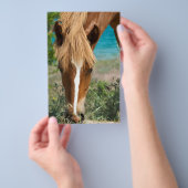 馬 チラシ (ハンドル)