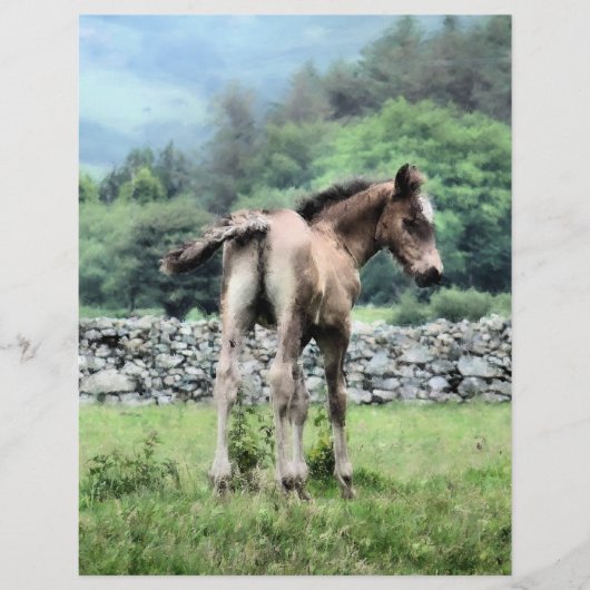 馬 チラシ (正面)