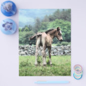 馬 チラシ (シングル)