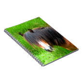 馬 ノートブック (右側)