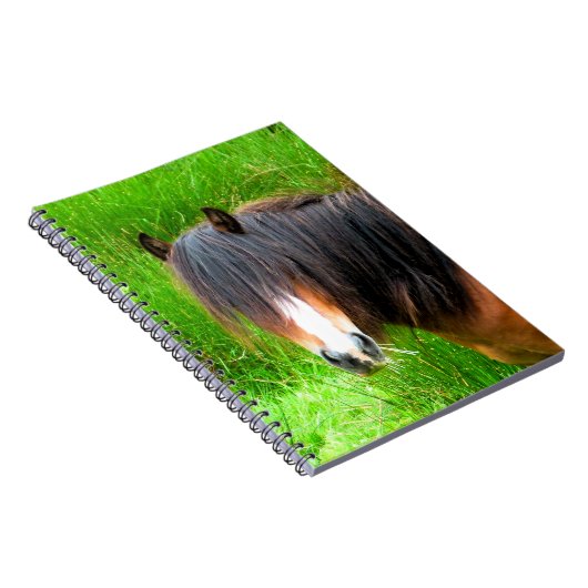 馬 ノートブック (右側)