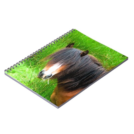 馬 ノートブック (左側)