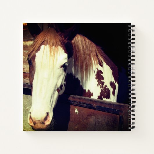 馬 ノートブック (裏面)