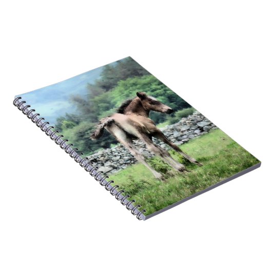 馬 ノートブック (右側)