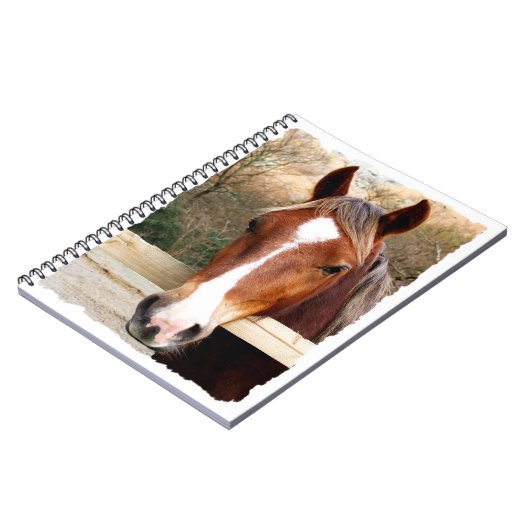 馬 ノートブック (左側)