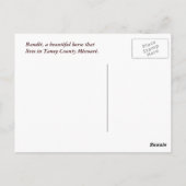 馬&バーンウッド葉書 – cutomize ポストカード (裏面)