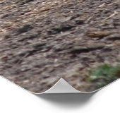 馬/ピ絵を描ン ポスター (角)