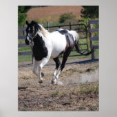 馬/ピ絵を描ン ポスター (正面)