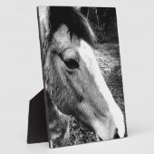 馬 フォトプラーク (側面)