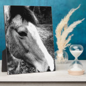 馬 フォトプラーク (側面)