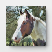 馬 フォトプラーク (正面)