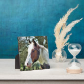 馬 フォトプラーク (インサイチュ)