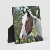 馬 フォトプラーク (正面)