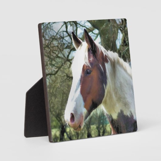 馬 フォトプラーク (正面)