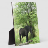 馬 フォトプラーク (側面)