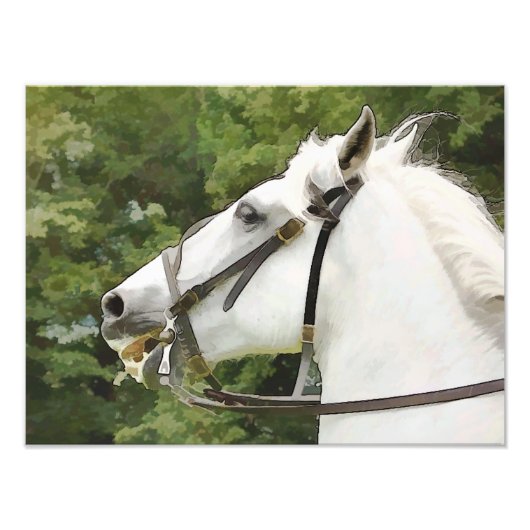 馬 フォトプリント            (正面)