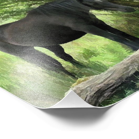 馬 フォトプリント            (角)