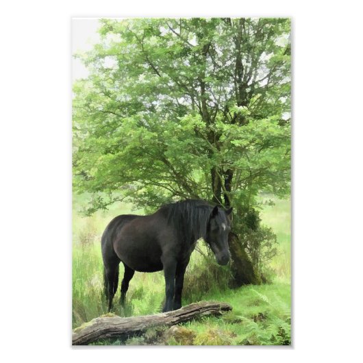 馬 フォトプリント            (正面)