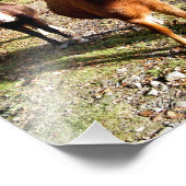 馬 フォトプリント            (角)