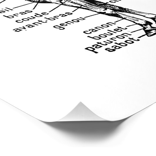 馬 フォトプリント            (角)