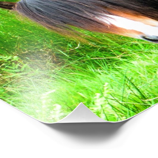 馬 フォトプリント            (角)