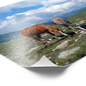 馬 フォトプリント            (角)