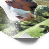 馬 フォトプリント            (角)