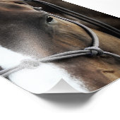 馬 フォトプリント            (角)