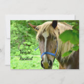 馬 ブラウン ベルギー ドラフト フォト 誕生日 招待状 (正面)