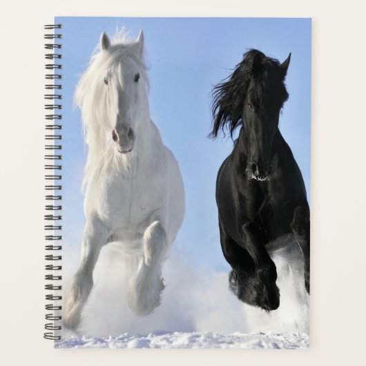 馬 プランナー手帳 (正面)