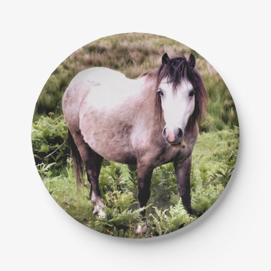 馬 ペーパープレート (正面)